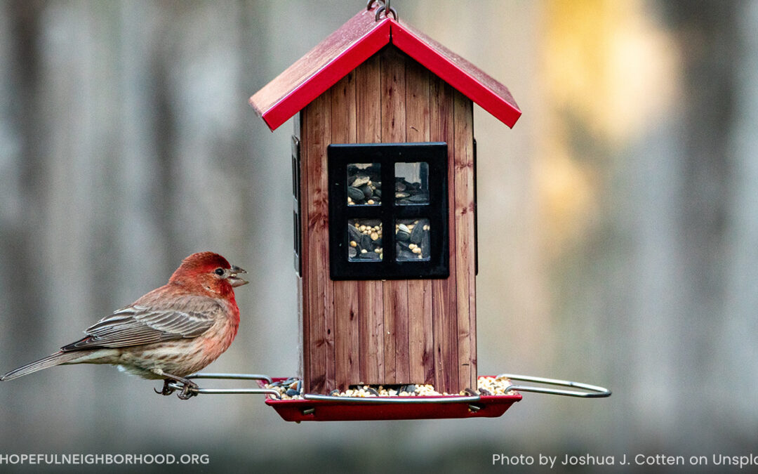 Getting to Know Our Non-Human Neighbors