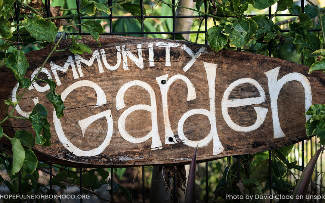 The Power of Community Gardens